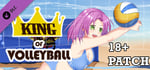 King of Volleyball Adults Only 18+ Patch banner image