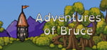 Adventures of Bruce steam charts