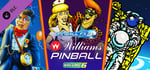 Pinball FX3 - Williams™ Pinball: Volume 6 banner image