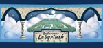 Endurance Labyrinth steam charts