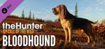 theHunter: Call of the Wild™ - Bloodhound banner image