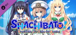 Shachibato! × Hyperdimension Neptunia Collaboration 2 banner image