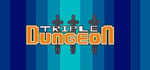 Triple Dungeon steam charts