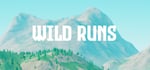 Wild Runs steam charts