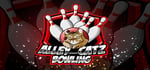 Alley Cat Bowling banner image