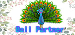 Ball Partner banner image