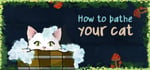 How to bathe your cat banner image