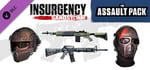 Insurgency: Sandstorm - Assault Pack banner image