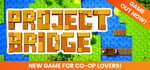 Project Bridge steam charts