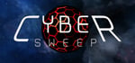 Cyber Sweep banner image
