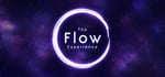 The Flow Experience steam charts