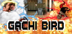 Gachi Bird steam charts
