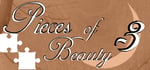 Pieces of Beauty 3 banner image