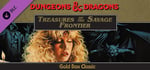 Treasures of the Savage Frontier banner image