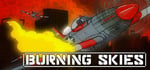 Burning Skies steam charts