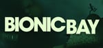 Bionic Bay steam charts