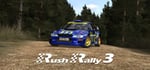 Rush Rally 3 steam charts