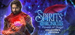 Spirits Chronicles: Flower Of Hope Collector's Edition steam charts