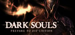 DARK SOULS™: Prepare To Die™ Edition banner image