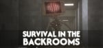 SURVIVAL IN THE BACKROOMS steam charts