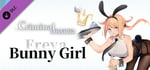 Criminal Dissidia - Erifuranya (Bunny Girl) banner image