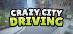 Crazy City Driving banner image