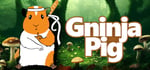 Gninja Pig banner image