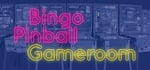 Bingo Pinball Gameroom banner image