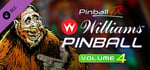Pinball FX - Williams Pinball Volume 4 banner image