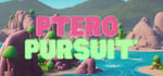 Ptero Pursuit steam charts