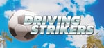 Driving Strikers steam charts