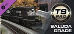 Train Simulator: Norfolk Southern Saluda Grade Route Add-On banner image