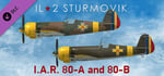 IL-2 Sturmovik: I.A.R. 80-A and 80-B Collector Planes banner image
