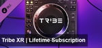 Tribe XR - Lifetime Subscription banner image