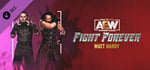 AEW: Fight Forever - Matt Hardy banner image