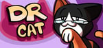 Doctor Cat steam charts
