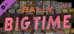 Bingo Pinball Gameroom - Bally Big Time banner image