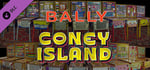 Bingo Pinball Gameroom - Bally Coney Island banner image