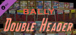 Bingo Pinball Gameroom - Bally Double Header banner image