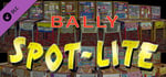 Bingo Pinball Gameroom - Bally Spot Lite banner image