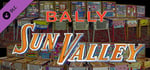 Bingo Pinball Gameroom - Bally Sun Valley banner image