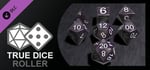 True Dice Roller - Polished Obsidian Stone Dice banner image