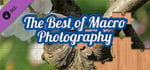 House of Jigsaw: The Best of Macro Photography banner image