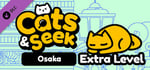 Cats and Seek - Extra Level banner image