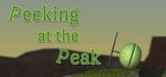 Peeking at the peak steam charts