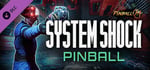 Pinball M - System Shock Pinball banner image