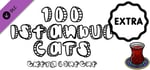 100 Istanbul Cats - Extra Content banner image