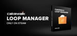 Cakewalk Loop Manager steam charts