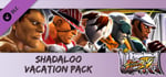USFIV: Shadaloo Vacation Pack banner image