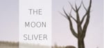 The Moon Sliver steam charts